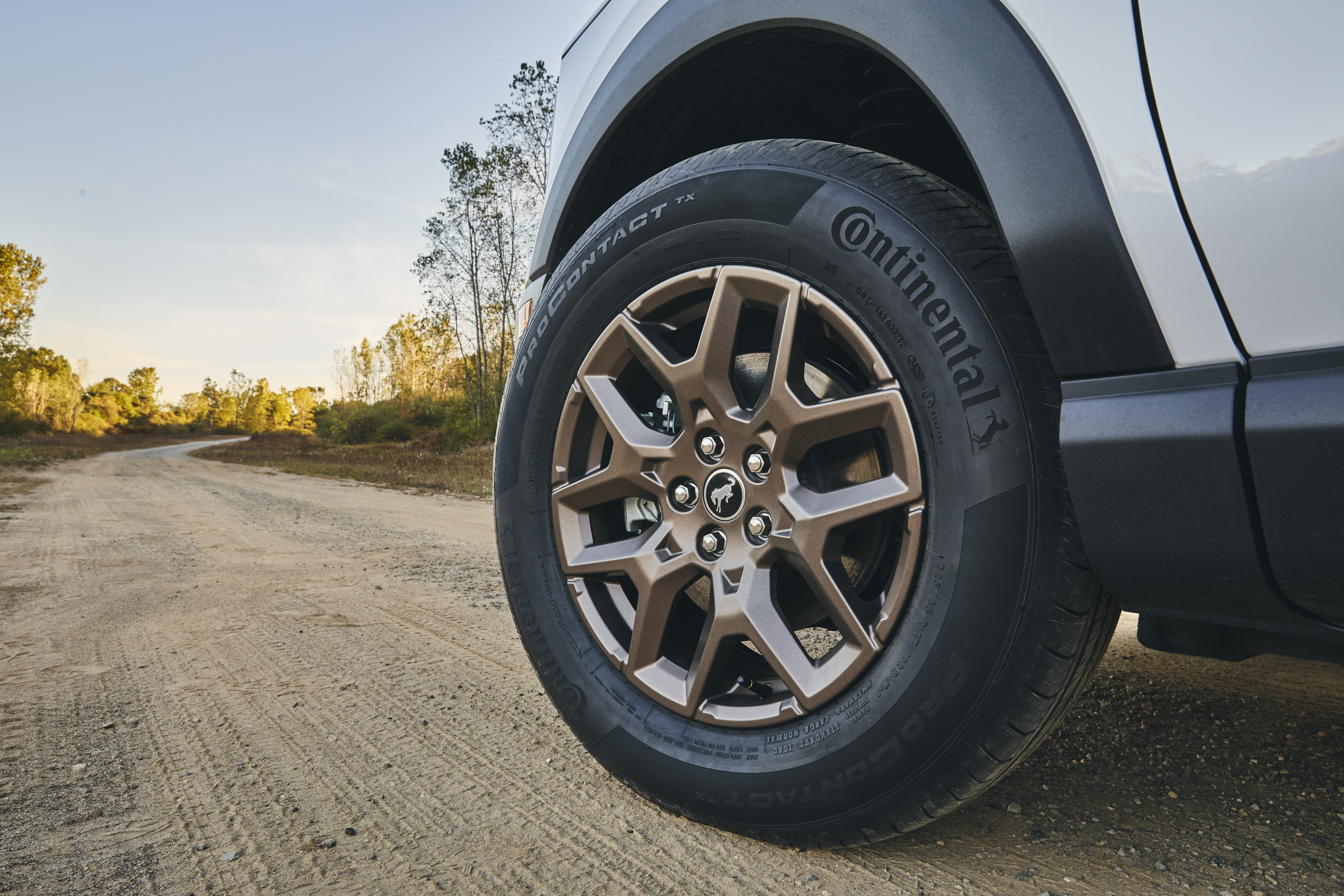 Bronze wheel details on a white Bronco